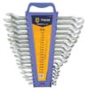 Spanner Set - Combination - 17 Piece - TOOS1611