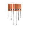 Screwdriver Set - Slotted and Philips - 6 Piece - TOOS1953