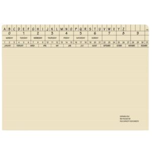 Retrieval Document Files - Includes Clip - Expanda Heavy Weight - 326gsm - A4 - Pack of 60 - FIL500C