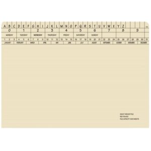 Retrieval Document Files - Extra Heavy Weight - 326gsm - A4 - Pack of 150 - FIL400XH