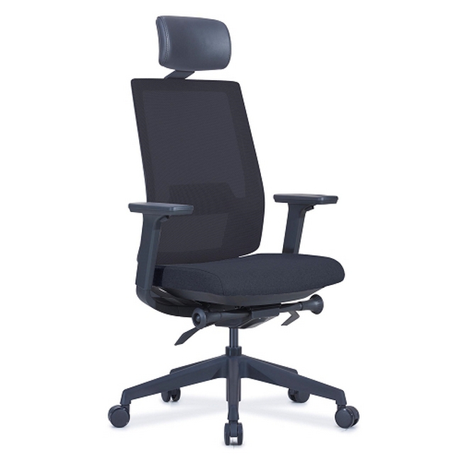 Ergonomic Office Chair - With Headrest - EOFFWHR