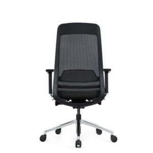 Ergonomic Executive Chair - Without Headrest - EEXEC