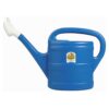 10L Watering Can