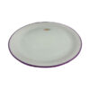 Two toned dinner plate