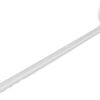 Bürkle Sample Spoon Curved,l.G., 10ml, Bio-PE, Sterile, Pack of 10