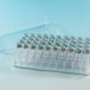 Schuett-Biotec Polystyrene Storage Case for 50 Culture Tubes (35x12 mm), Transparent