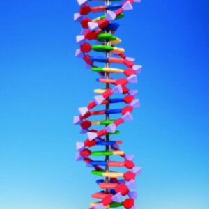 Protein Kit RNA-24 PS