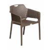 Roma Chair- Cappuccino