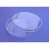Petri Dishes 15mm x 100mm, 20/Pack