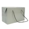 Silver Gloss Box Bag with Cord Handles (S)