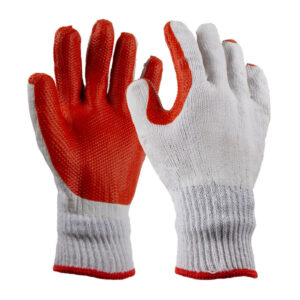Glove Crayfish Per Pair